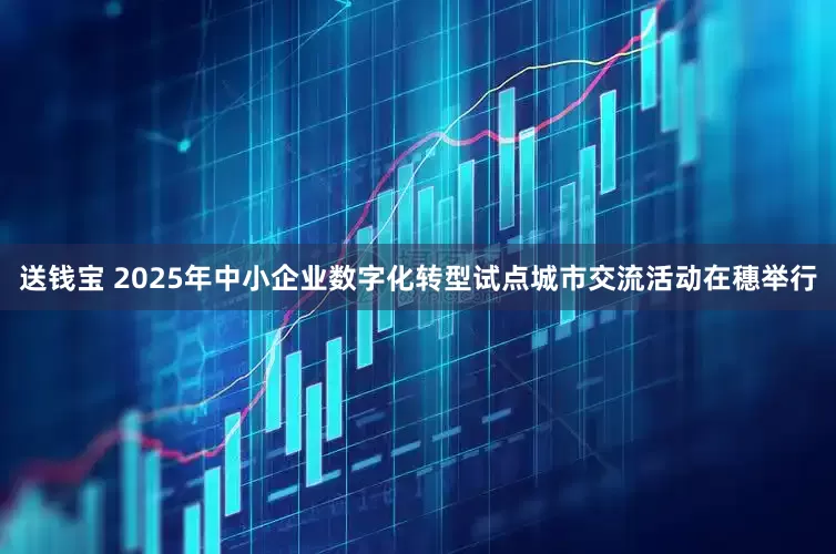 送钱宝 2025年中小企业数字化转型试点城市交流活动在穗举行