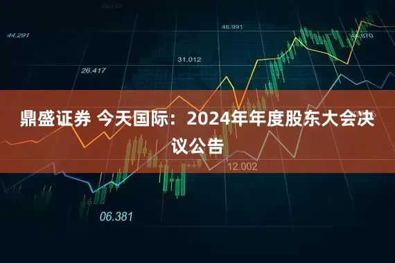 鼎盛证券 今天国际：2024年年度股东大会决议公告
