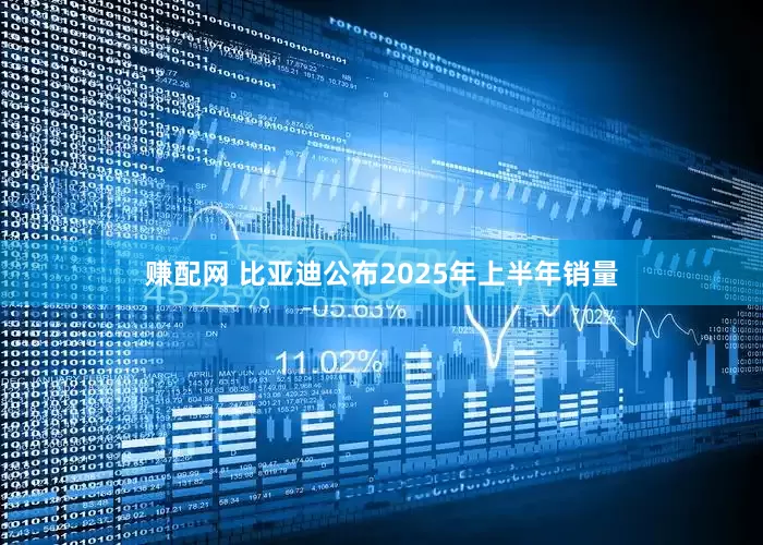 赚配网 比亚迪公布2025年上半年销量