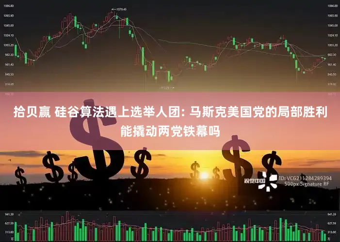 拾贝赢 硅谷算法遇上选举人团: 马斯克美国党的局部胜利能撬动两党铁幕吗