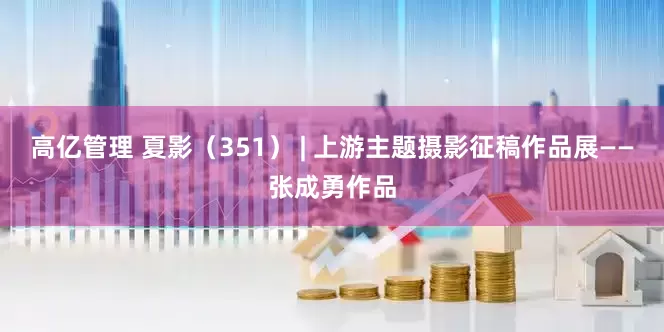 高亿管理 夏影（351） | 上游主题摄影征稿作品展——张成勇作品