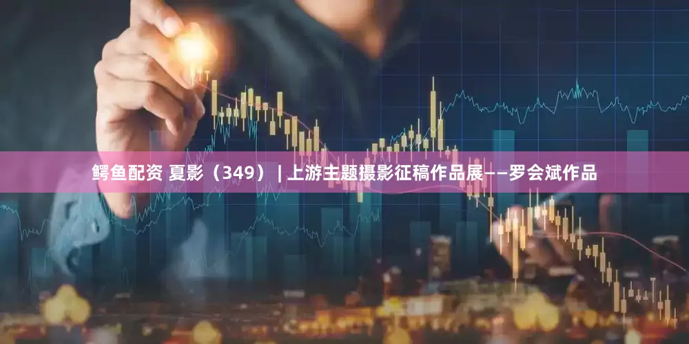 鳄鱼配资 夏影（349） | 上游主题摄影征稿作品展——罗会斌作品