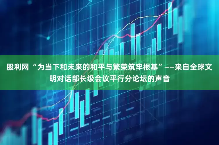 股利网 “为当下和未来的和平与繁荣筑牢根基”——来自全球文明对话部长级会议平行分论坛的声音
