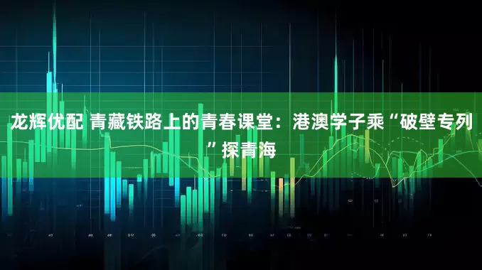 龙辉优配 青藏铁路上的青春课堂：港澳学子乘“破壁专列”探青海
