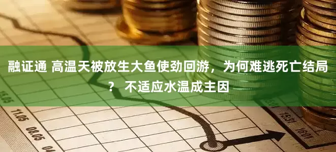 融证通 高温天被放生大鱼使劲回游，为何难逃死亡结局？ 不适应水温成主因
