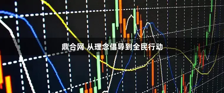 鼎合网 从理念倡导到全民行动