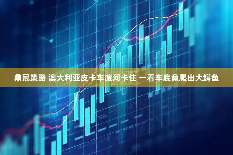 鼎冠策略 澳大利亚皮卡车渡河卡住 一看车底竟爬出大鳄鱼