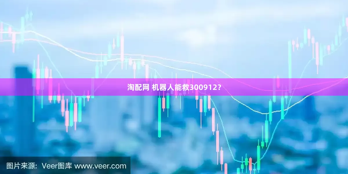 淘配网 机器人能救300912？